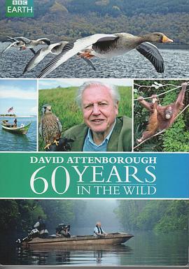 愛丁保羅夫：自然探索60年/Attenborough: 60 Years in the Wild線上看