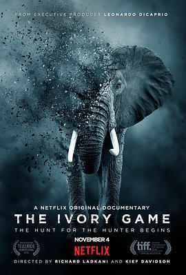 象牙遊戲/The Ivory Game線上看