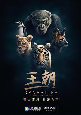 王朝 第一季/Dynasties Season 1線上看