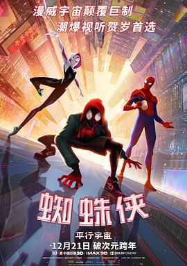 蜘蛛俠：平行宇宙/Spider-Man: Into the Spider-Verse線上看