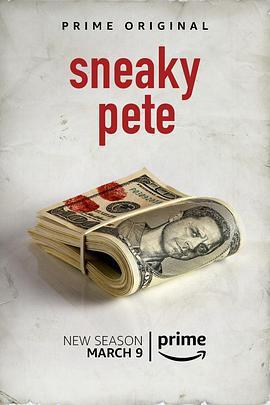 詐欺擔保人 第二季/Sneaky Pete Season 2線上看