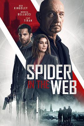 網中蜘蛛/Spider In The Web線上看