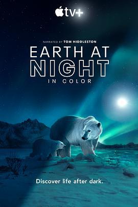 夜色中的地球 第二季/Earth at Night in Color Season 2線上看