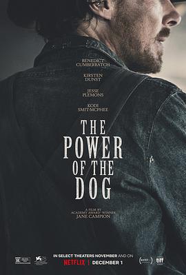 犬之力/The Power of the Dog線上看