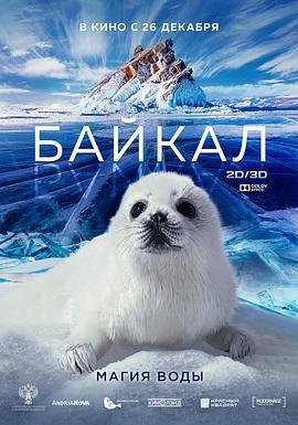 神奇的貝加爾湖/Байкал: магия воды線上看
