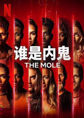 誰是內鬼 第一季/The Mole Season 1線上看