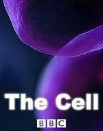 細胞/The Cell線上看