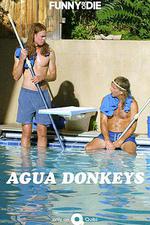 水驢清潔公司/Agua Donkeys線上看