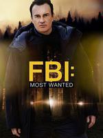 聯邦調查局：通緝要犯 第三季/FBI: Most Wanted Season 3線上看