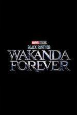 黑豹2/Black Panther: Wakanda Forever