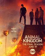 野獸家族 第六季/Animal Kingdom Season 6線上看