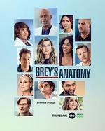 實習醫生格蕾 第十九季/Grey’s Anatomy Season 19線上看